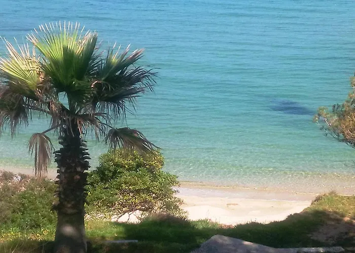 2 Pièces Au Lavandou Avec Parking Proche Plage, Terrasse Vue - Fr-1-251-843 *